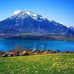 Thun Alps Scenic Views And Concierge By Swisshut Chalet *