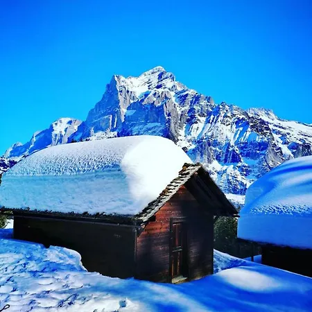 Lake Thun Alps Scenic Views And Concierge By Swisshut Alpstuga