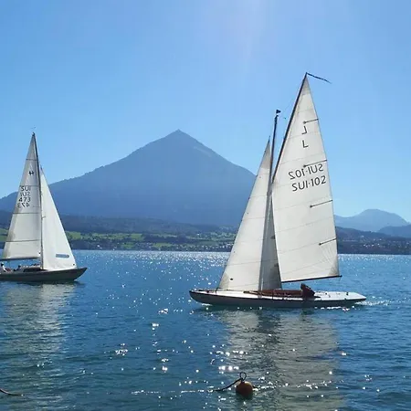 Lake Thun Alps Scenic Views And Concierge By Swisshut Alpstuga