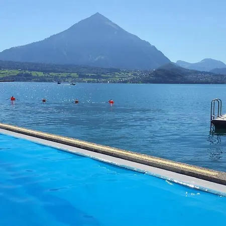 Lake Thun Alps Scenic Views And Concierge By Swisshut Alpstuga Sigriswil