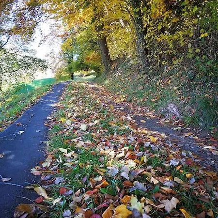 Lake Thun Alps Scenic Views And Concierge By Swisshut * Sigriswil