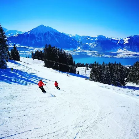 Lake Thun Alps Scenic Views And Concierge By Swisshut Alpstuga *