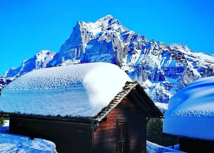 Thun Alps Scenic Views And Concierge By Swisshut シャレー