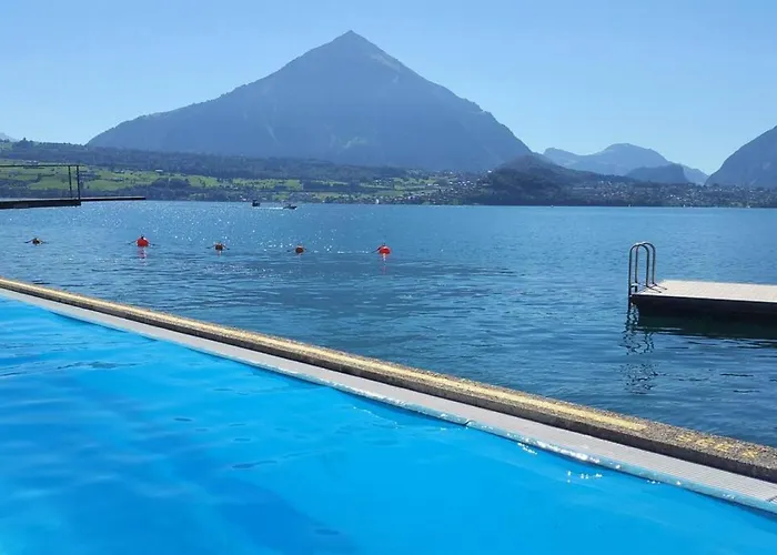 Thun Alps Scenic Views And Concierge By Swisshut シャレー ジーグリスヴィル