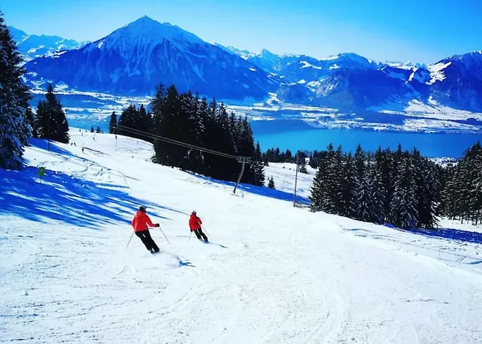 Thun Alps Scenic Views And Concierge By Swisshut Alpehytte *